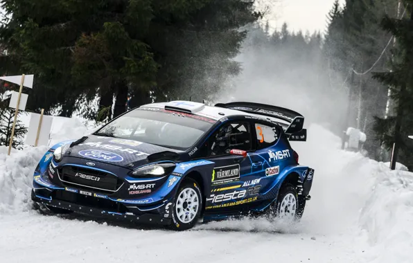 Ford, rally, wrc, fiesta, sweden