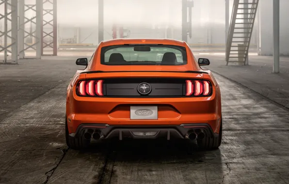 Mustang, Ford, rear view, EcoBoost, 2020, High Performance Package