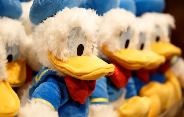 Background, toys, ducklings