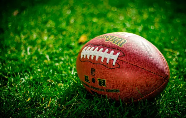 GRASS, GREENS, The BALL, The GAME, LACING, RUGBY