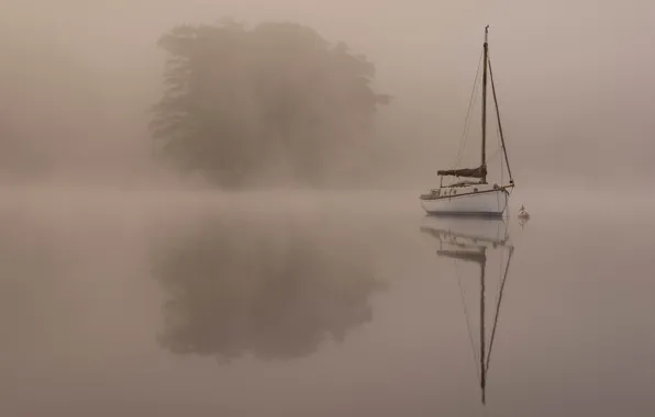 Picture trees, landscape, fog, boat, pond, Wallpaper from lolita777, simply