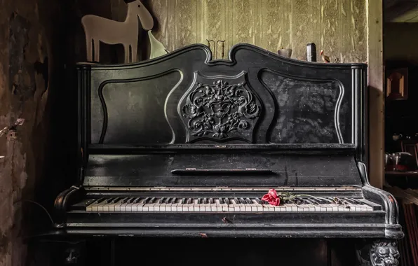 Picture music, rose, piano