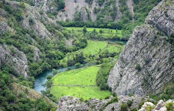 Picture grass, mountains, river