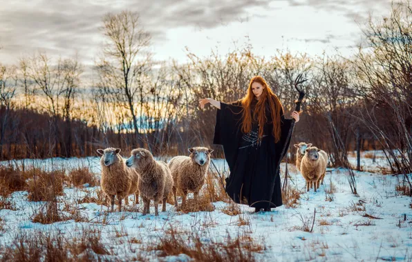 Picture girl, sheep, Samantha