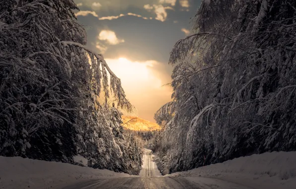 Winter, road, forest, snow, trees, Sweden