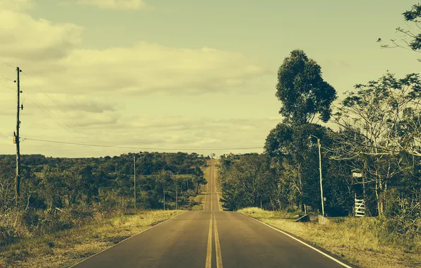 Road, the sky, clouds, trees, horizon, Brazil, power line, farm