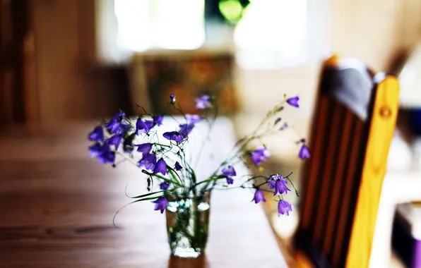 Picture macro, flowers, table