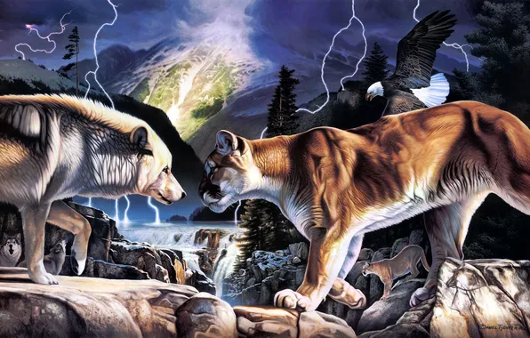 Picture river, stones, lightning, wolf, art, eagle, Puma, Cougar