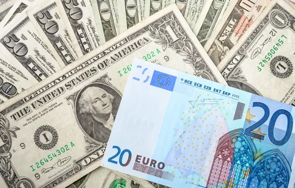Money, dollar, Euro, bills, fon, euro, dollar