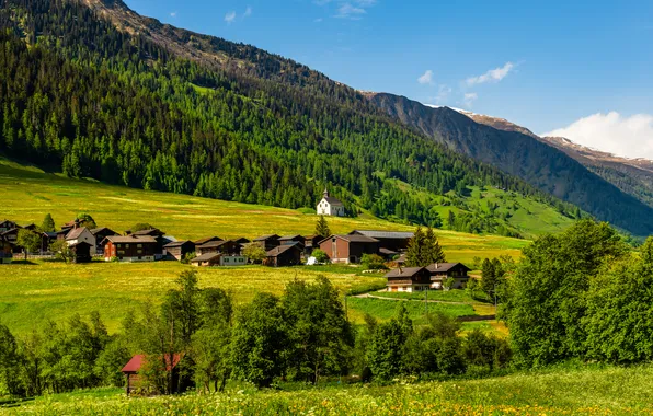 Field, forest, summer, mountains, the slopes, village, Alps, houses