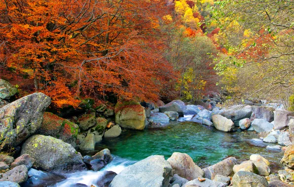 Autumn, forest, trees, lake, stones