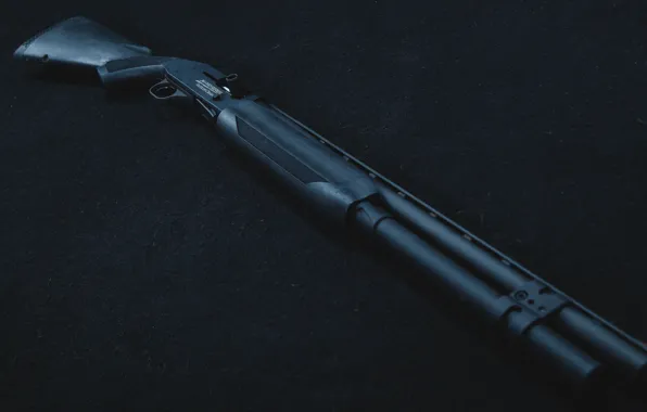 Weapons, the gun, pump, Mossberg 930