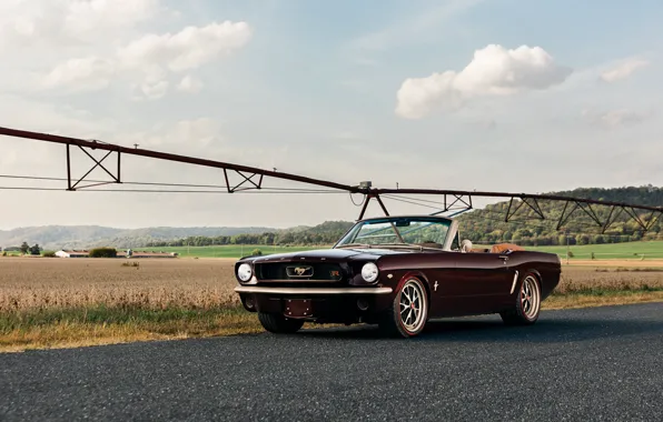 Mustang, Ford, muscle car, Ringbrothers, 1965 Ford Mustang Convertible, Ford Mustang Uncaged