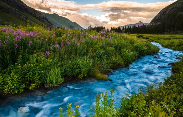 Summer, landscape, sunset, flowers, mountains, river, Colorado, USA
