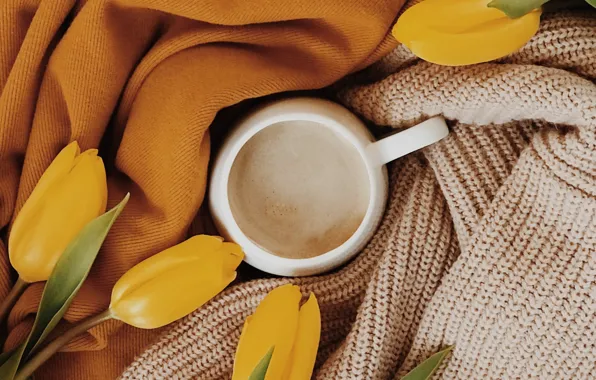 Picture comfort, clothing, Cup, tulips, fabric, drink