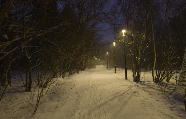 Picture winter, snow, trees, nature, the evening, lights, Moscow, Russia