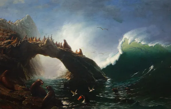 Picture, seascape, seals, Albert Bierstadt, Farallon Island