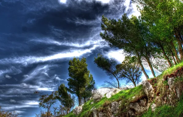 The sky, clouds, trees, landscape, stones, open