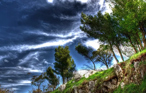 Picture the sky, clouds, trees, landscape, stones, open