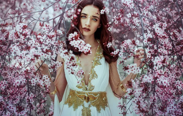 Picture look, girl, branches, tree, mood, spring, dress, flowering