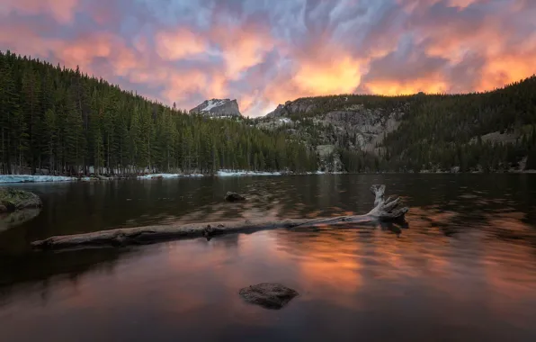 Forest, snow, mountains, lake, stones, rocks, shore, tops
