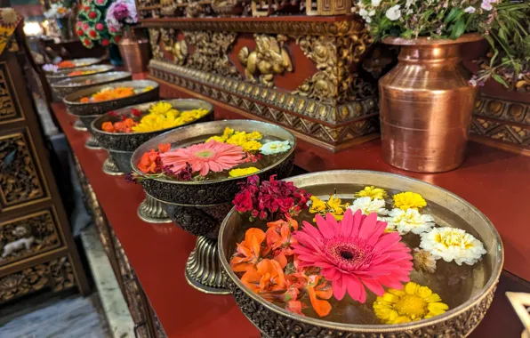 Temple, Nepal, Nepal, Kathmandu, Kathmandu, Flowers in vases, Pixel 7 pro sample photo, Flowers in …