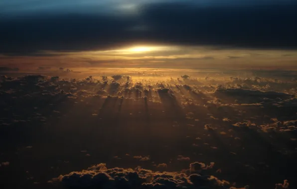 The sun, clouds, light, sunset