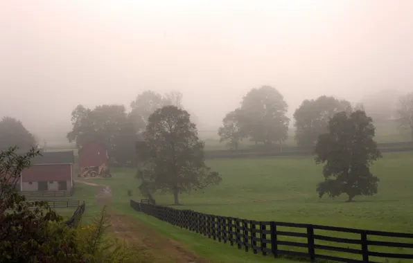 Field, trees, fog, village, morning, Autumn, track, trees