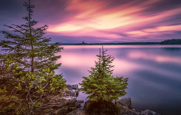 Trees, landscape, sunset, nature, lake, stones, USA, national Park