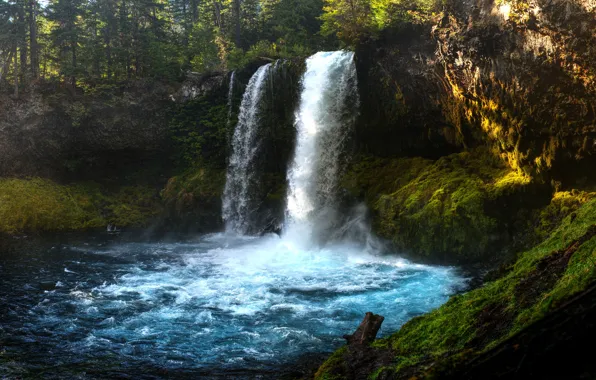 Picture forest, light, rocks, waterfall, stream, pond