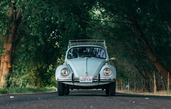 Picture car, Volkswagen, road, trees, Beetle, Volkswagen Beetle