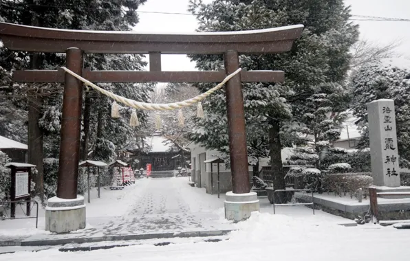 Picture snow, Japan, the gates