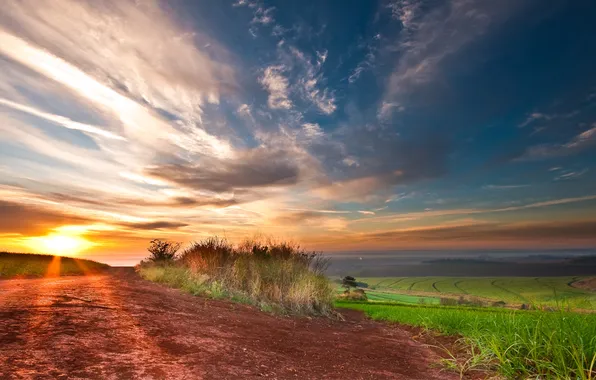 Field, the sky, clouds, light
