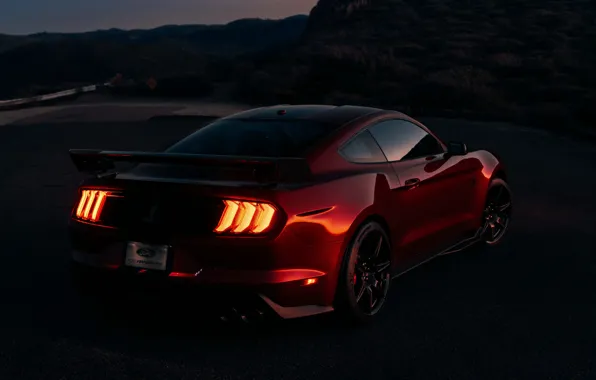 Night, Mustang, Ford, Shelby, GT500, bloody, 2019