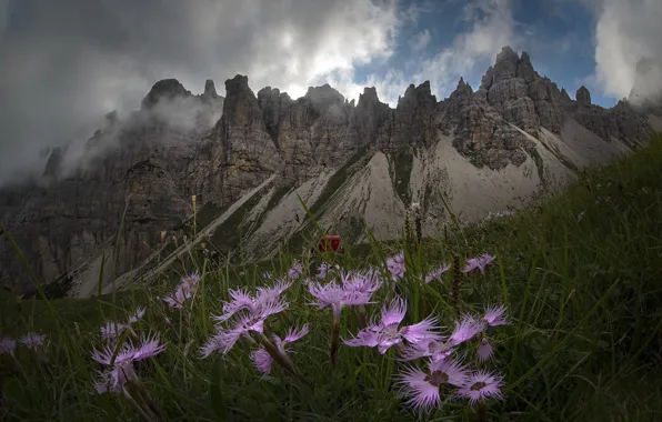 Picture the sky, grass, clouds, landscape, flowers, mountains, nature, slope