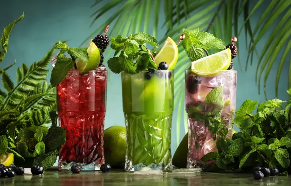 Greens, glass, leaves, red, green, berries, table, ice