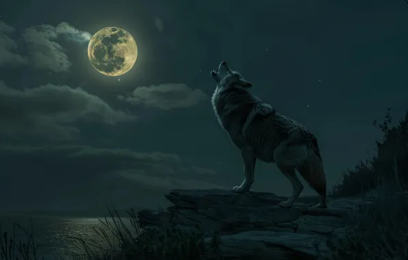 Picture Night, The moon, Wolf, Predator, River, The full moon, Digital art, AI art