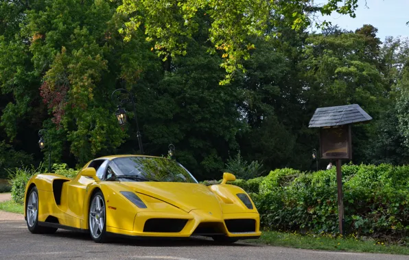 Supercar, ferrari, enzo, yellow