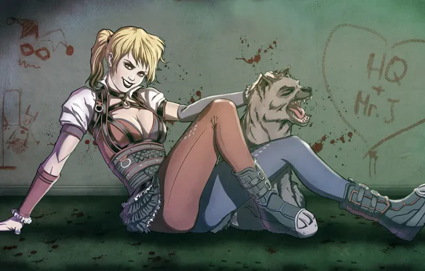 Girl, wall, blood, hyena, harley quinn, Harley Quinn