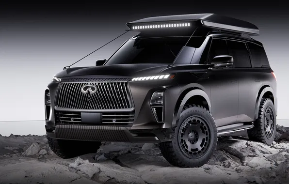 Concept, Infiniti, Terrain, Spec, QX80