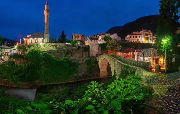 Landscape, night, bridge, the city, river, vegetation, building, tower