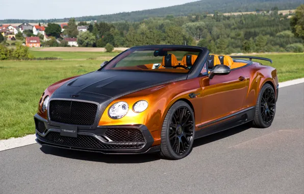 Picture Bentley, Continental, Bentley, continental, Mansory, GTC, 2015