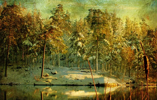 Picture winter, forest, snow, trees, river, canvas