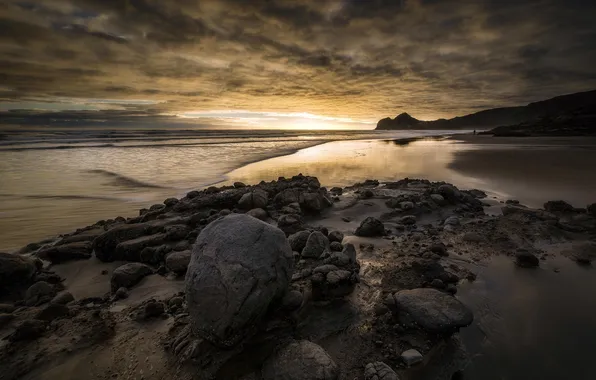 Sea, landscape, night, shore