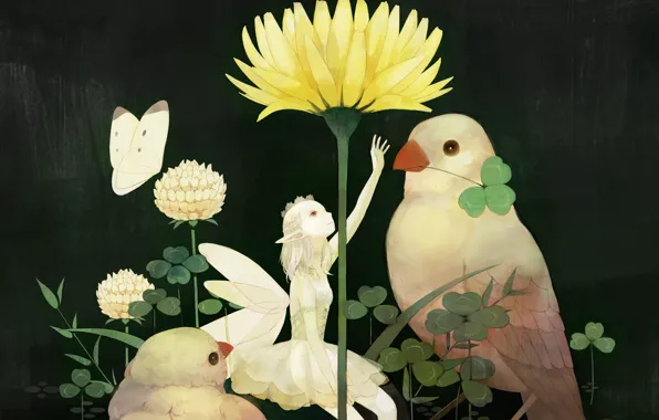 Picture flower, birds, butterfly, wings, fairy, Girl