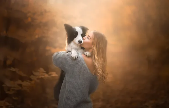 Picture autumn, girl, mood, dog, friendship, friends, bokeh, The border collie