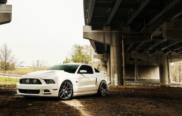 Mustang, Ford, Ford, Muscle, Mustang, Car, 5.0