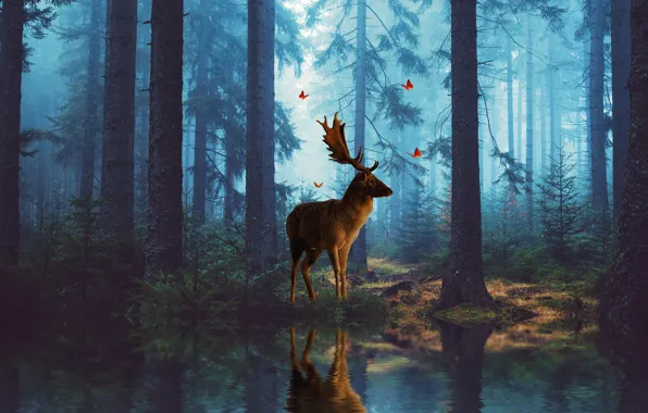 Picture forest, rendering, deer, art, photoart