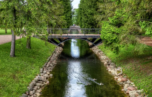 Bridge, pond, Park, tree, HDR, Saint Petersburg, park, bridges