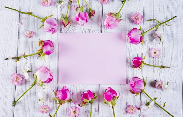 Picture flowers, roses, frame, pink, buds, pink, flowers, beautiful
